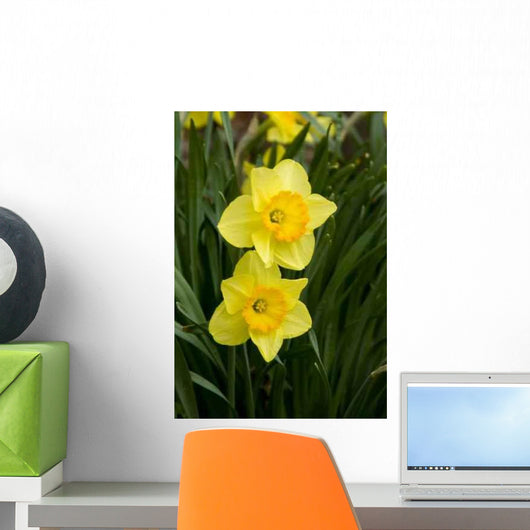 Daffodils Wall Decal