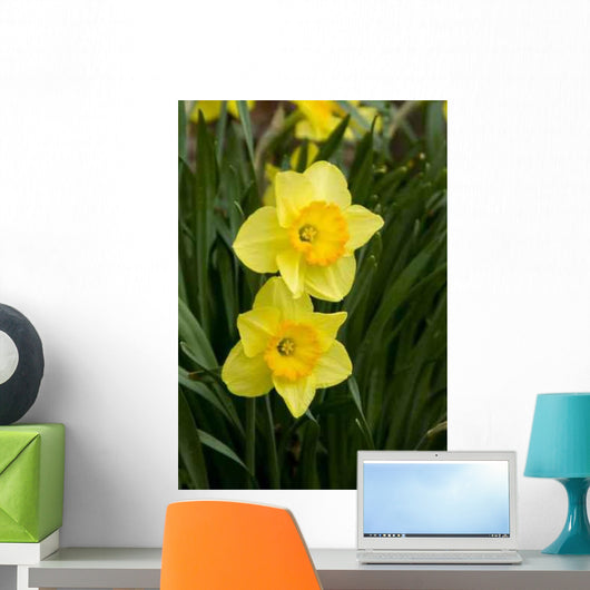 Daffodils Wall Decal