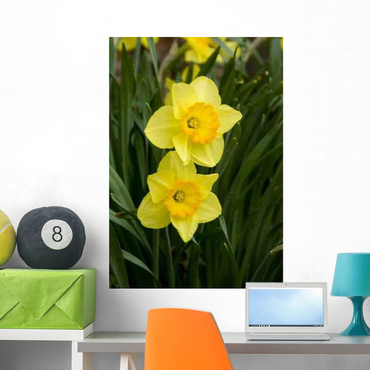 Daffodils Wall Decal