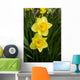 Daffodils Wall Decal