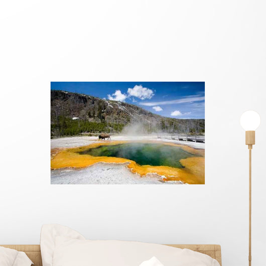 Yellowstone Wall Decal
