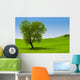 Single Tree