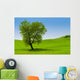Single Tree