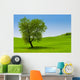 Single Tree