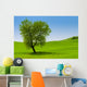 Single Tree