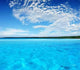 Tropical Ripple Wall Decal