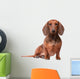 Dachshund Dog over White Wall Decal