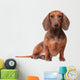 Dachshund Dog over White Wall Decal