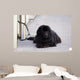 Chien