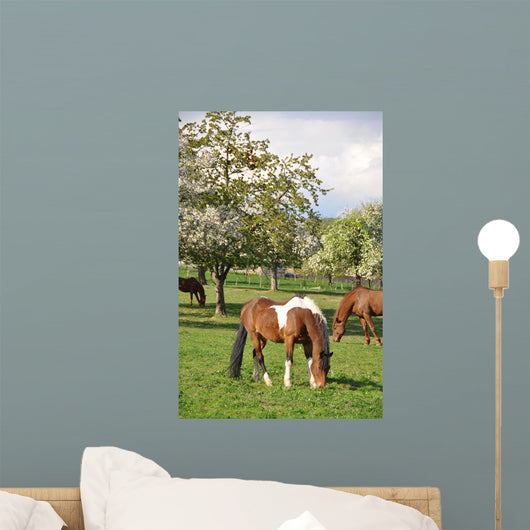 Horse Wall Mural