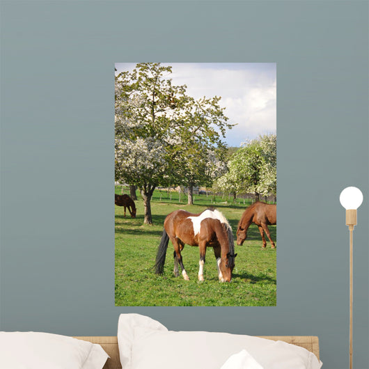 Horse Wall Mural