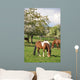 Horse Wall Mural