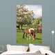 Horse Wall Mural