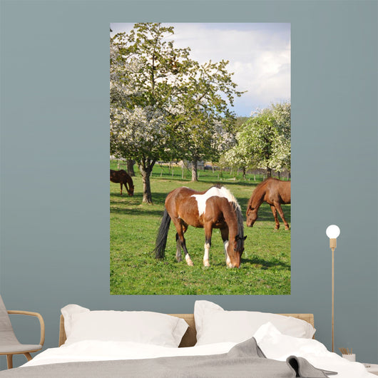 Horse Wall Mural