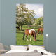 Horse Wall Mural