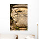 Medusa Vase Wall Mural