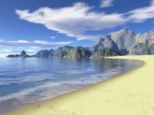 Wild Beach Wall Decal