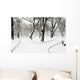 Park Snowfall Wall Decal