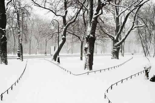 Park Snowfall Wall Decal