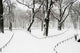 Park Snowfall Wall Decal