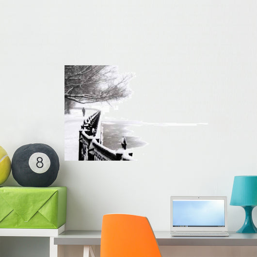 Embankment Snowfall Saint Petersburg Wall Decal