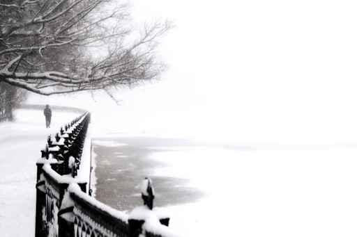 Embankment Snowfall Saint Petersburg Wall Decal
