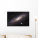 Andromeda Galaxy Wall Decal