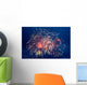 fireworks Wall Mural
