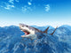 White Shark Wall Mural