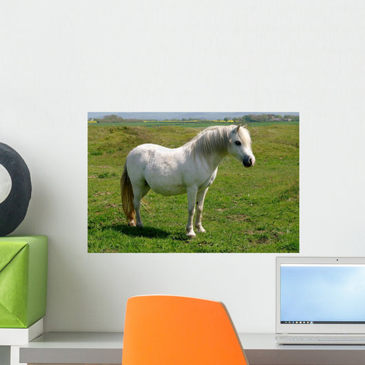 Wild White Pony Wall Mural