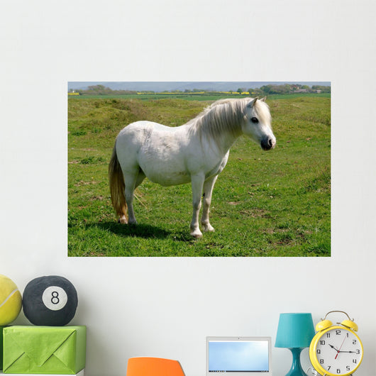 Wild White Pony Wall Mural