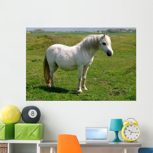 Wild White Pony Wall Mural