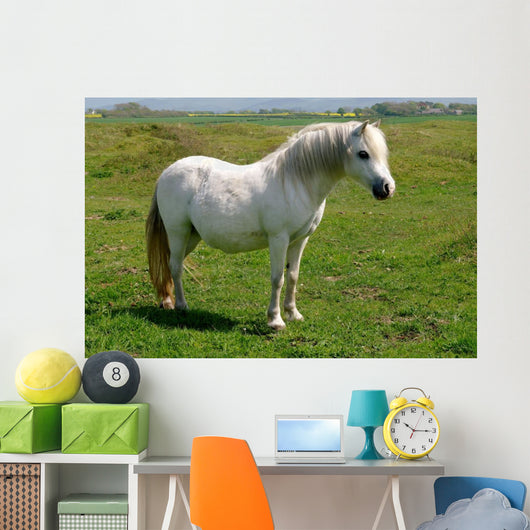 Wild White Pony Wall Mural