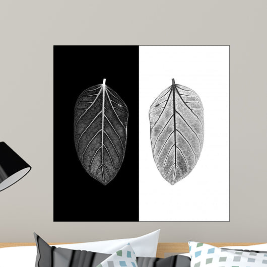 Contrast Black and White