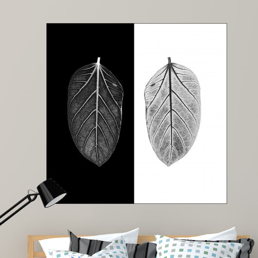 Contrast Black and White