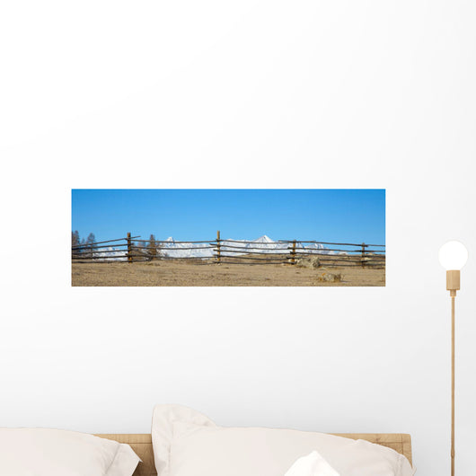 Fence Foreground