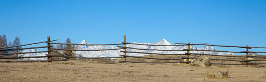 Fence Foreground