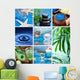 Blue Spa Collage