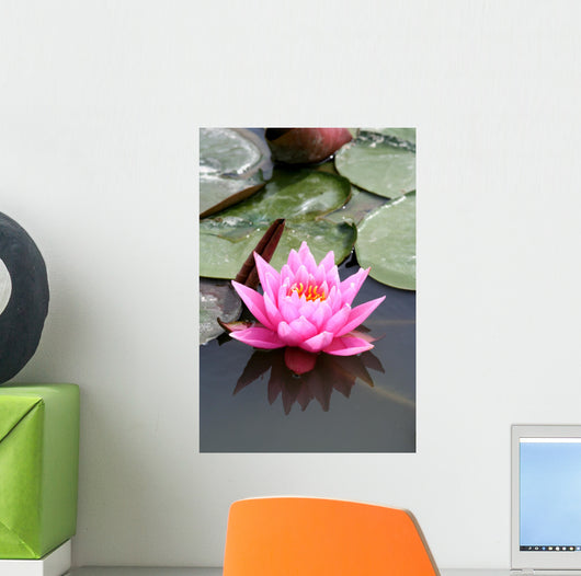 fleur de lotus Wall Mural