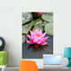 fleur de lotus Wall Mural