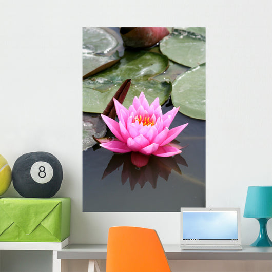 fleur de lotus Wall Mural