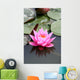 fleur de lotus Wall Mural