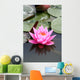 fleur de lotus Wall Mural