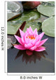 fleur de lotus Wall Mural