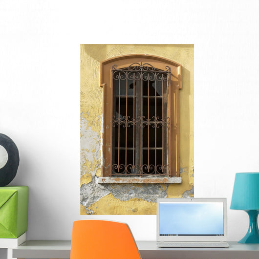 Window