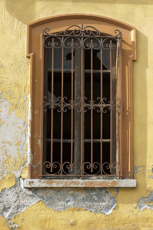 Window