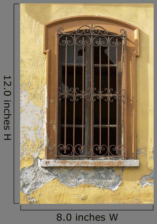 Window
