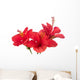 Three Red Hibiscus Wall Decal