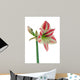 Amaryllis Red White Decorative Wall Decal
