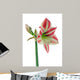 Amaryllis Red White Decorative Wall Decal